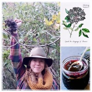 Elderberry Tonic / Syrup.